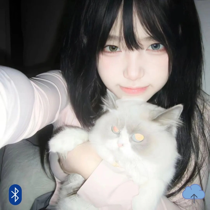 林芳女士
